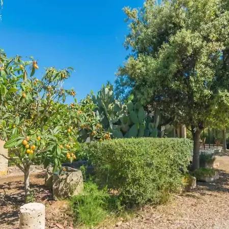 Mostatxet With Private Poolfree Wifi Can Picafort (Mallorca)